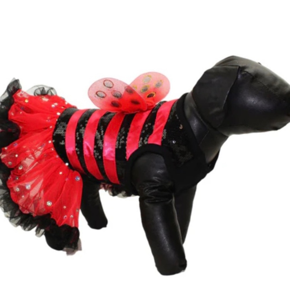 Adorable lady bug costume for cat or small dog